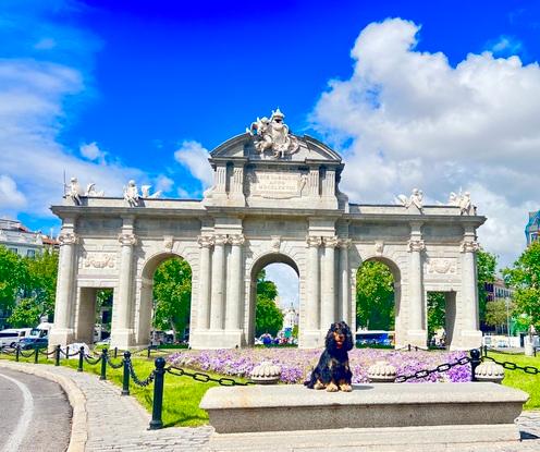 Puerta de Alcalá