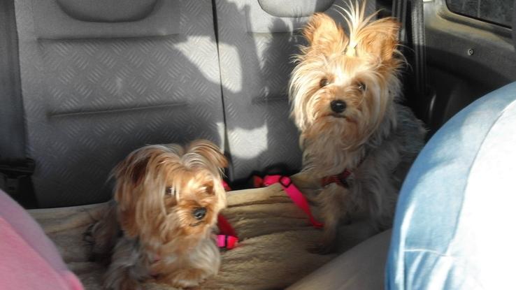 Bakthi y May en el coche, volviendo de viaje.