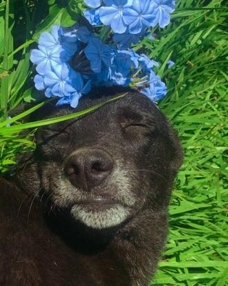 Tomando el sol