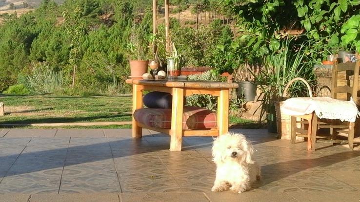 Ama en el porche de la casa tomando el sol