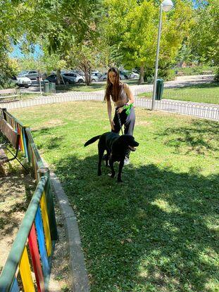 Jugando en el parque