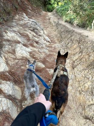 B+A día de paseo