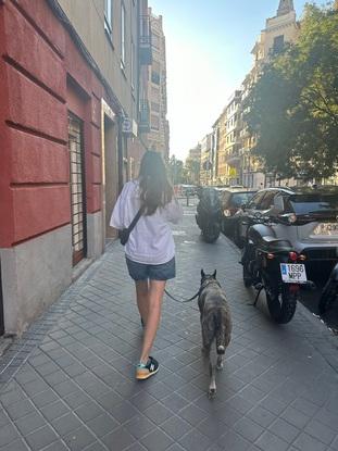 Paseando a balto por Madrid