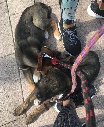 De paseo!