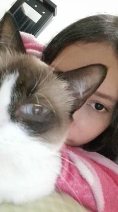 Ella es Princesa, era mi gatita pero lastimosamente se tuvo que quedar en mi pais con mi abuela