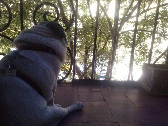 Patxi contemplando las vistas