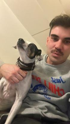 Amigos perrunos