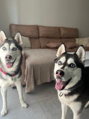 LOLA & KIRA