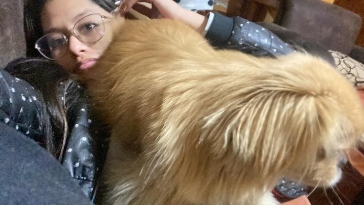 Mi Tommy es uno perrito tranquilo que necesita mucho cuidado por su edad 
