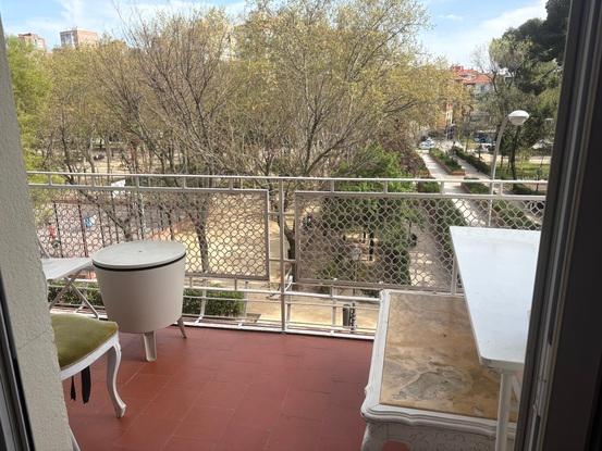 Tengo una terraza para que tomen el sol y enfrente dejhay un parque para darles un paseo por