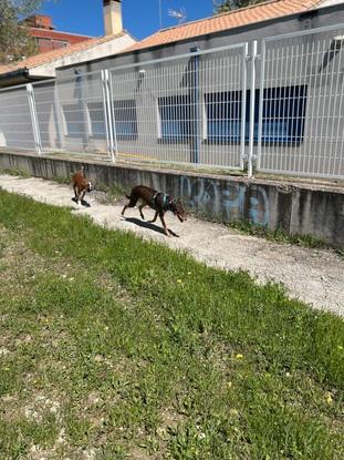 Max y Kiara