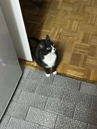 Coco