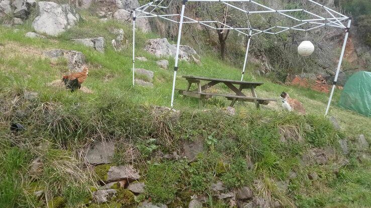 Finca