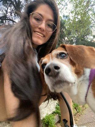 Kelly una beagle muy mimada y cariñosa