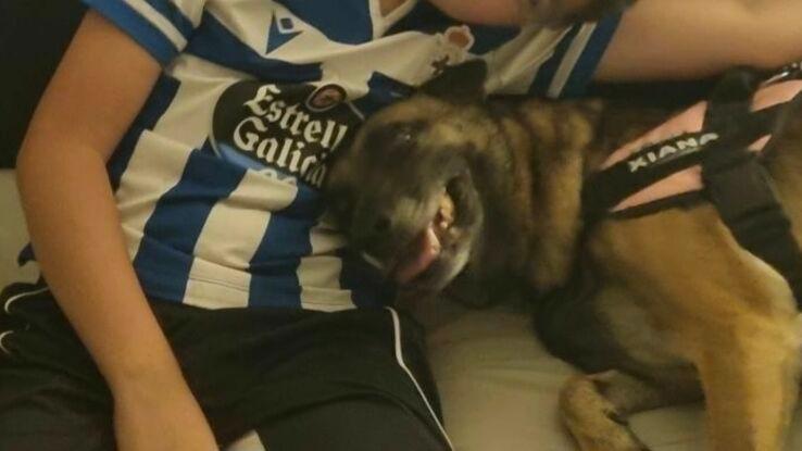 P 《 como en casa》 ♡