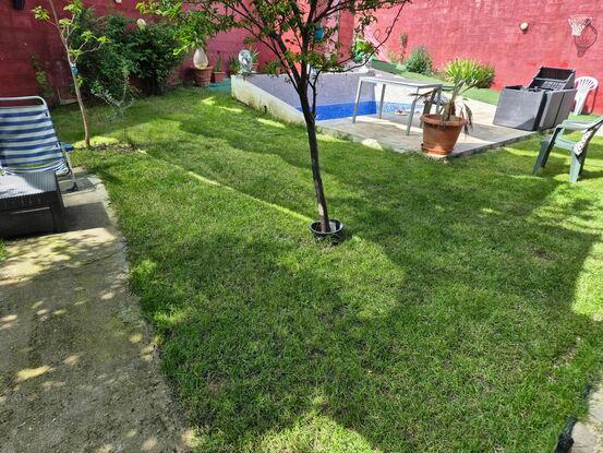 Jardin de la casa