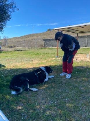 Este es Billy, un alma serena a la que tengo la suerte de patrocinar. Disfrutamos de paseos tranquilos y momentos de calma juntos. Para mí, cuidar de él es una forma de devolver un poquito del amor que los animales nos dan.