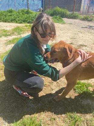 Este es Pluto, un compañero alegre al que patrocino con cariño. Disfrutamos de paseos y juegos, y cuidar de él me conecta con lo mejor de los animales.