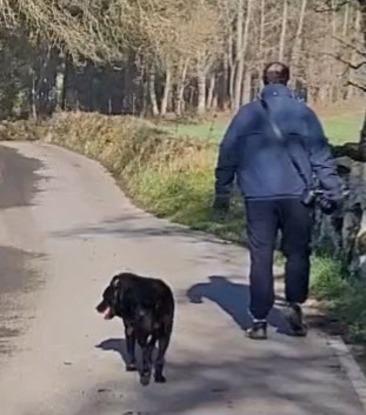Dando un paseo