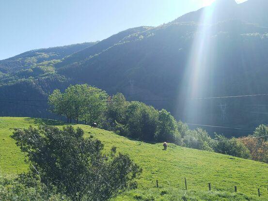 Zona en plena naturaleza
