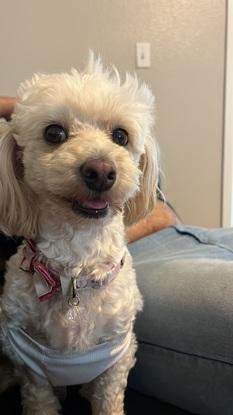 Matilda feliz