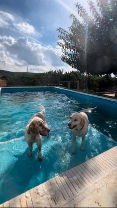 El acceso s la piscina está adaptado para que la entrada y salida sean sencillas