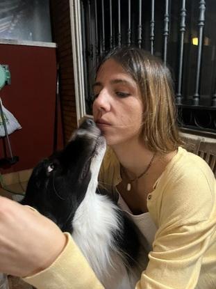 Siempre que hay un perro en una reunión estoy con el
