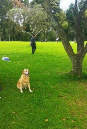 De paseo