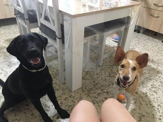 Luna y Lupa