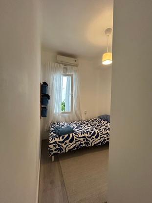 habitación para tu peludo