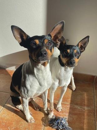 Hera y Lía