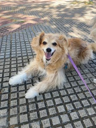 Supercontentitos de salir a pasear