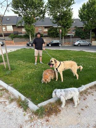Paseos por el parque al lado de casa