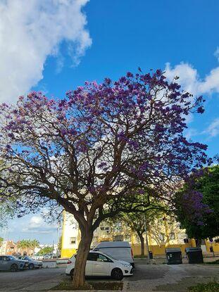 Lugares de paseo
