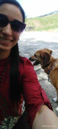 Cuidado a Domicilio de 4 mascotas foto de sus paeos