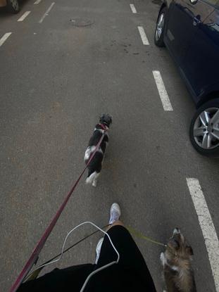 De paseo :p