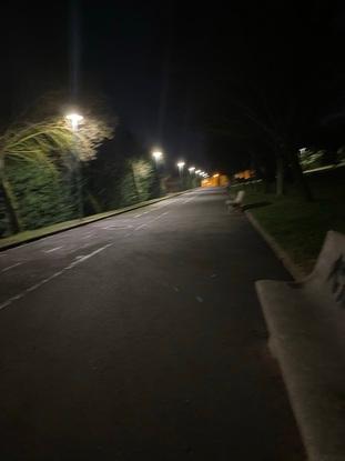 Night