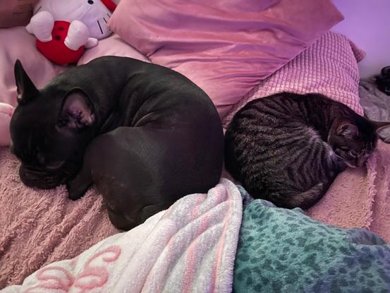 Chiara y Coco