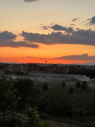 Vistas desde el piso de las zonas verdes