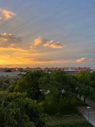 Vistas del piso de las zonas verdes