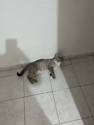 Zeus