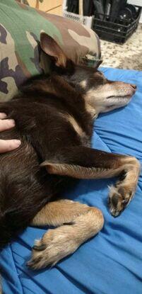 Golfo