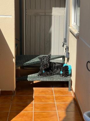 Tomando el sol