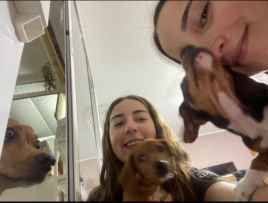 En compañia de otros perritos
