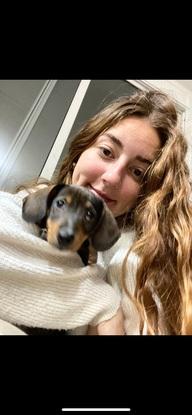 Mas perritos