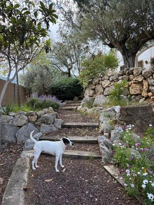 Sia en el jardin