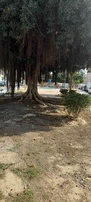 Plaza