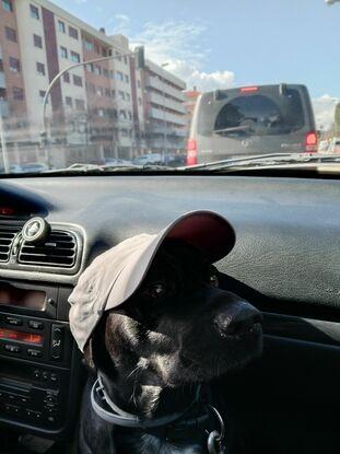 Nos vamos de excursión
