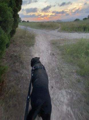 Paseo de Renata🌅