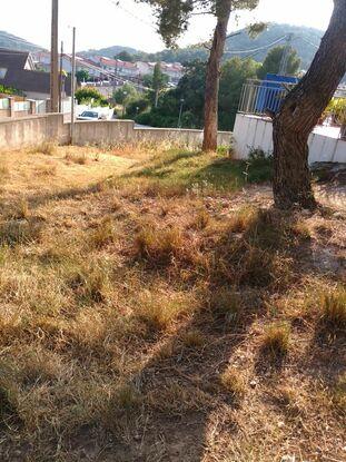 Jardín muy grande